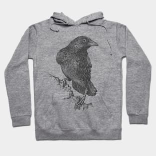 Raven Hoodie